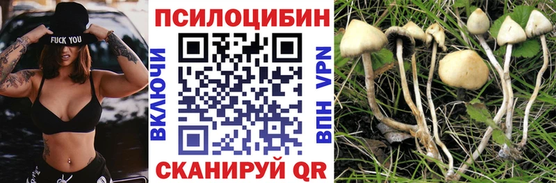 Купить  Сасово  Галлюциногенные грибы Magic Shrooms 